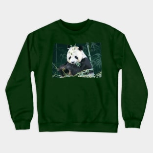 Panda With Bamboo Crewneck Sweatshirt